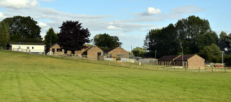 Brigstock Boarding Kennels for Dogs Kettering Northamptonshire